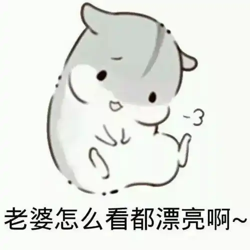 不骚能死吗