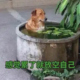 知道吃完饭就躺下真的会变胖吗