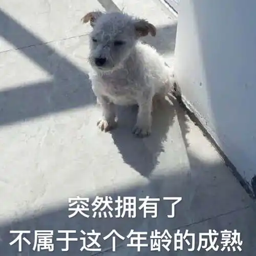搞笑图片把闺女写成了闰土闰土,生日快乐