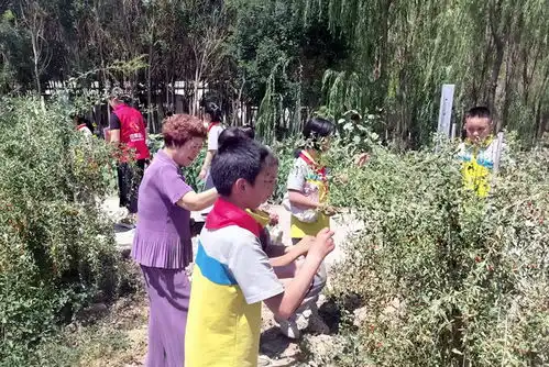 宁夏妇联组织小树苗和爱心妈妈来银研学