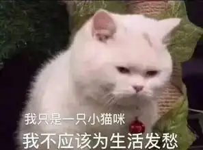 论ai应用的落地方向,读懂老板心情,来年升职加薪