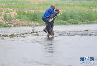 贾文其和贾海霞感动世界的植树老人