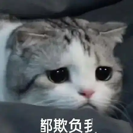 可爱的猫咪表情大全,请收藏备用