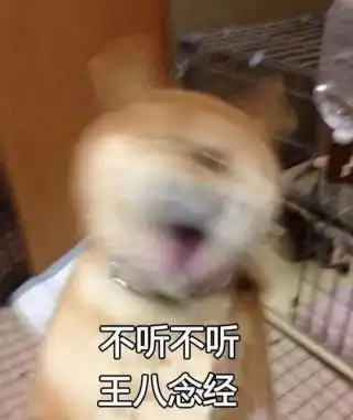 柴犬表情包全套柴犬doge表情包下载