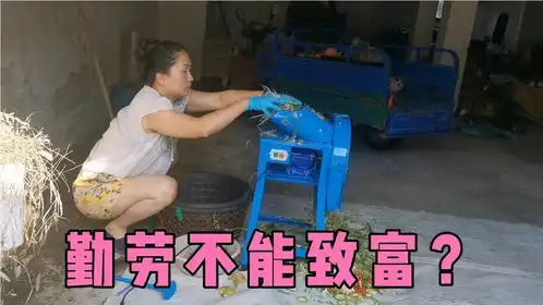 从全村最穷家庭,到杭州几栋别墅套房,2代人努力,勤劳不致富