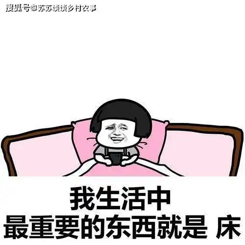 搞笑gif段子最后的倔强看着脸就疼啊