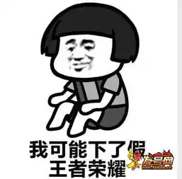王者荣耀斗图表情包第171期你负责一打五我负责躺