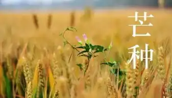 揭密为什么高考是每年6月的7号8号为什么每逢高考必下雨