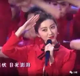 那英什么表情包春晚钉子户