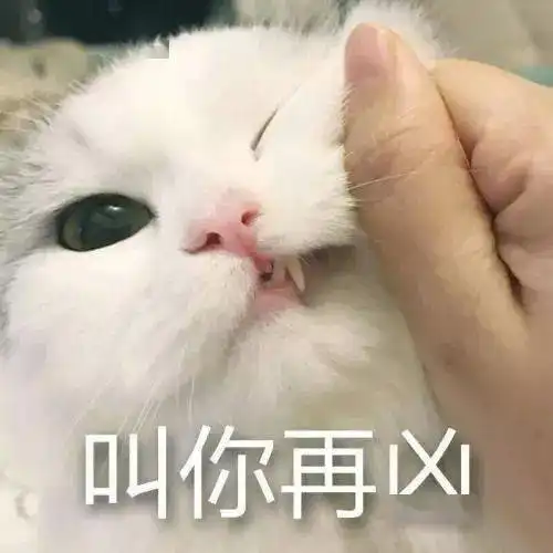 狗狗为什么会对我呲牙