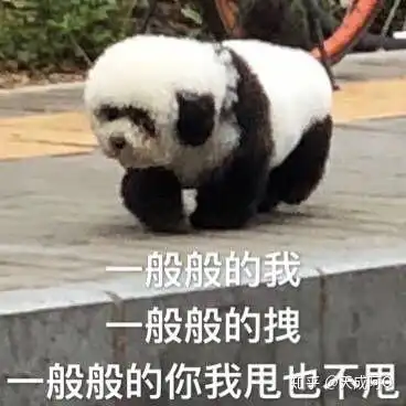 当别人问你你是不是很丑的时候你会怎么回答