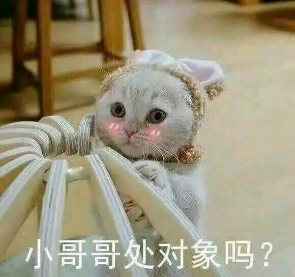 嘿那个谁算命的说我五行缺你
