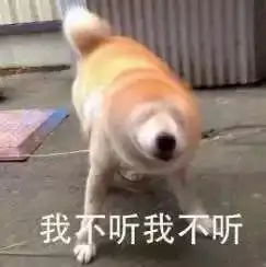 别人身上都是水,你浑身上下全是