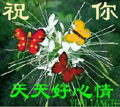 2019聊天表情图库太美了不打字就能聊天