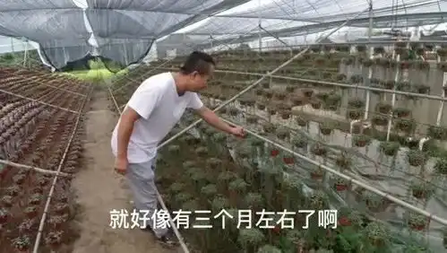 小伙承包了几亩土地,没想到年收入高达200万