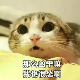 猫猫只是路过表情包头像