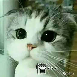 搜狐公众平台乒乓11分播客3月7日,剧本都编不出来的神剧情