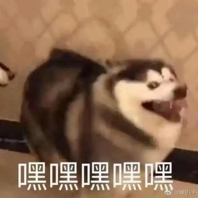 玩游戏也能学知识游戏王脑洞突破天际,盘盘那些熟知的卡面
