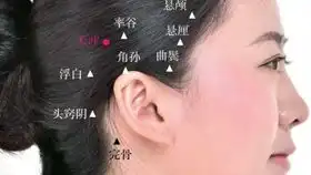 女神一字马