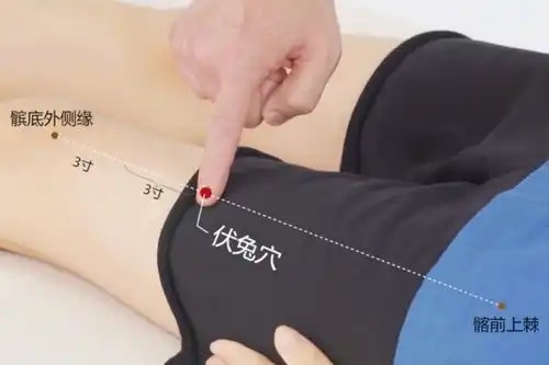 大腿粗按哪个部位能减肥