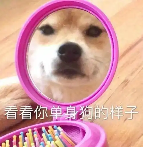 户惑谛今君共歩