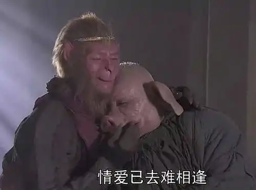 我是傻逼吗