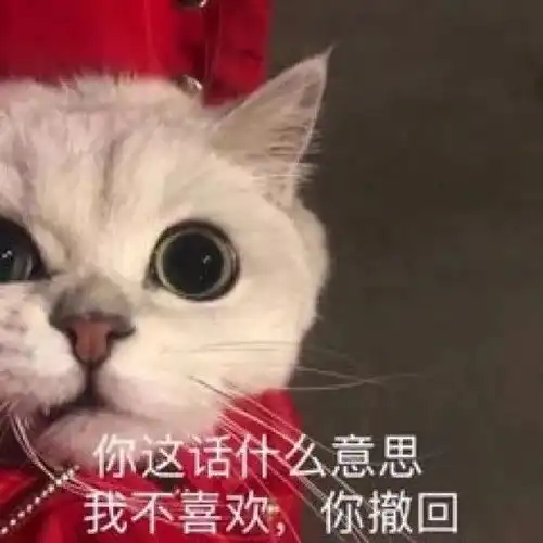 表情包你这话什么意思,我不喜欢,撤回