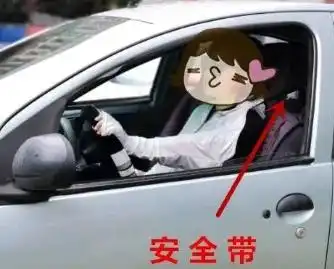 安全带到底系没系女子开车被罚直喊冤有照片,你给鉴定一下...