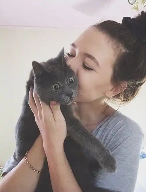 揭秘女生为什么养公猫,这些优点让人无法拒绝