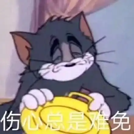 测试一个超长简介的文章