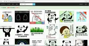 怎么找表情包