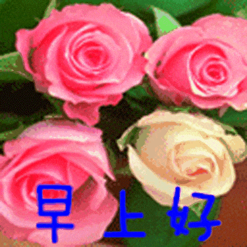 最新版非常漂亮的早上好表情图片温馨早安心语语录