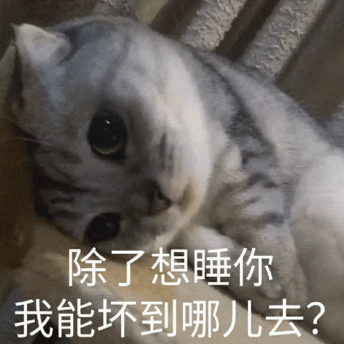 提前祝大家2022新年快乐吧