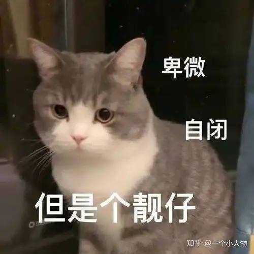 川菜有必要放那么多辣椒吗