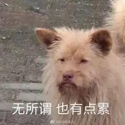 中国最大露天泳池开业了成都人有福啦