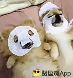 爆笑图片没事吧边上厕所边荡秋千
