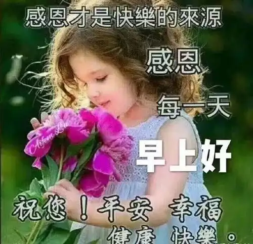 2019冬季早上好问候祝福语温馨的天冷降温冬天早上好图片