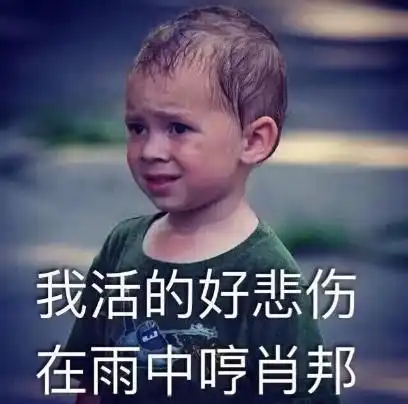 主人自制遛狗车,小土狗乖巧蹲坐着,但表情却出卖了它