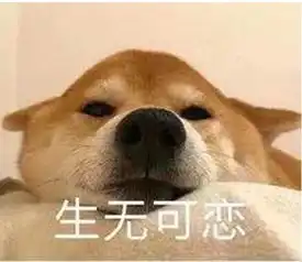 进出全靠钻沪上一小区为何惊现自挖门洞