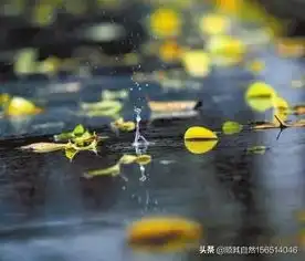 上初中了,孩子好的学习习惯到底是个什么东西