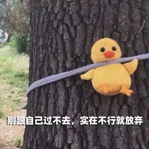 在预算较低的情况下,选择华为平板还是ipad