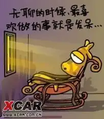 lele陈的相片