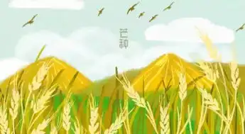 芒种丨成熟与收获同在,芒种与高考同行