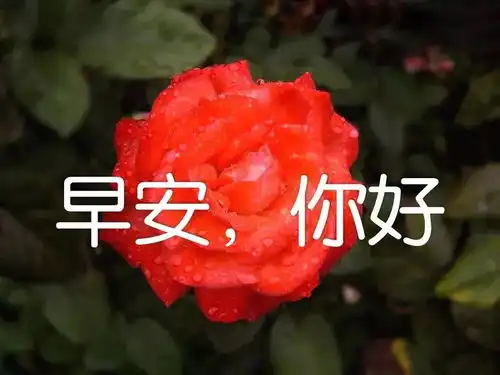 测试一个超长简介的文章