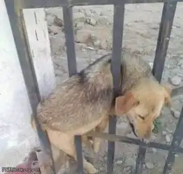 搞笑图片逗比妹子快给我一个大大的拥抱吧