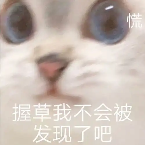 狸花冒充狸白四个月未被发现,真公主还是假千金替身猫麻麻,你在说什么人家听不懂