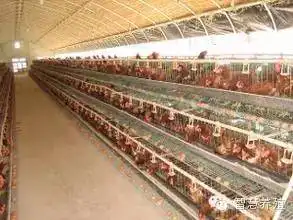 做好三大管理,平安度过炎炎夏季