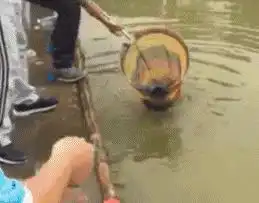 测试一个超长简介的文章