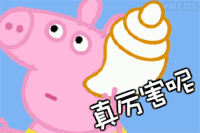 我不知道你在说什么,我只是一只小猪啊