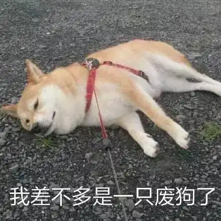 测试一个超长简介的文章